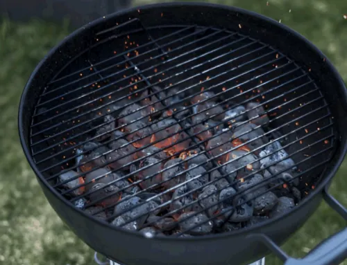 Comparison of Briquette Types for Proper Grilling and Heating